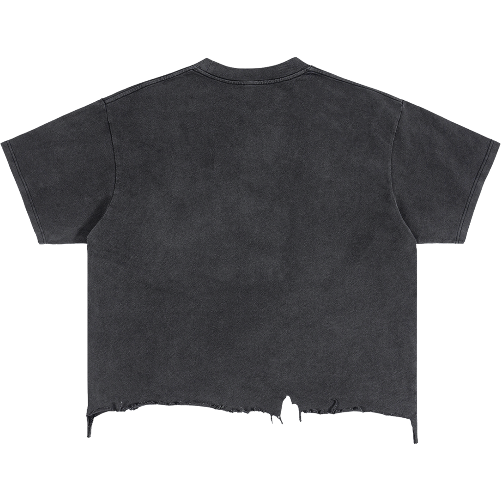Destroyed Area 51 Alien Distressed Boxy Streetwear Tee Shirt