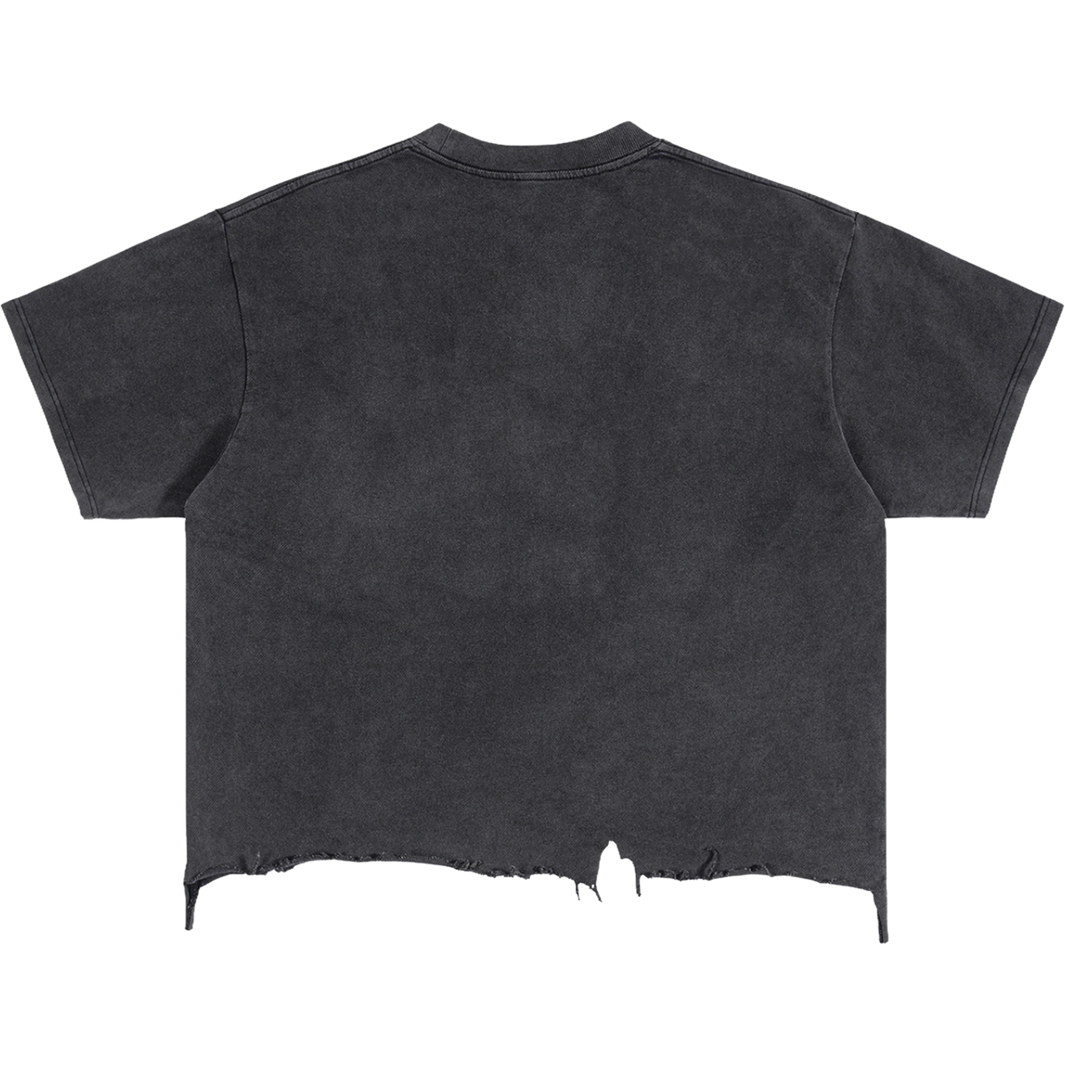 Destroyed Area 51 Alien Distressed Boxy Streetwear Tee Shirt