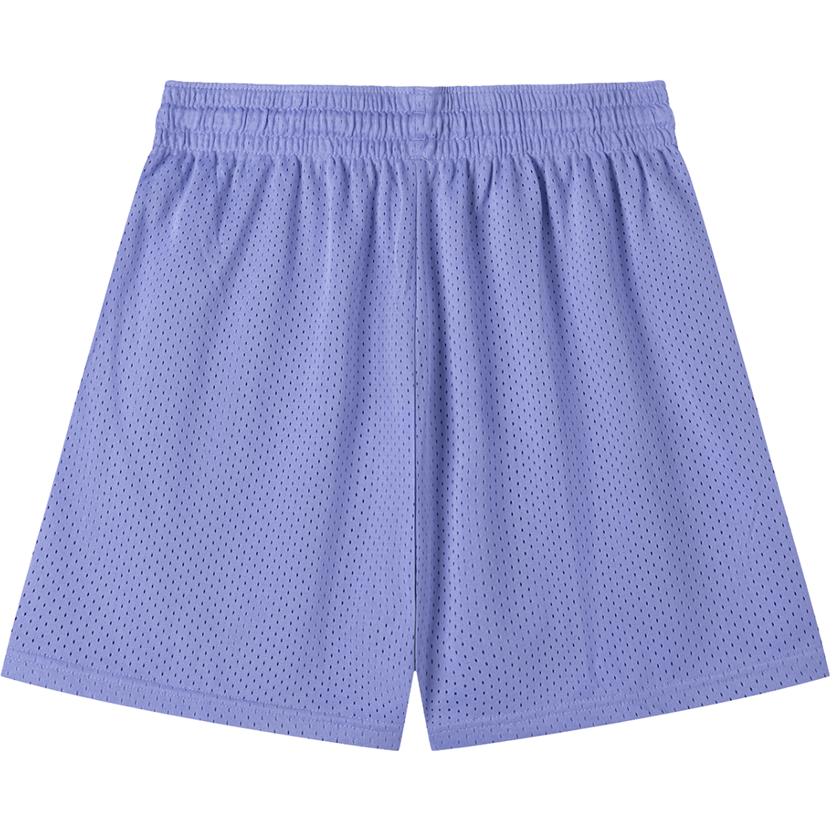 Everyday Mesh Drawstring Purple Shorts